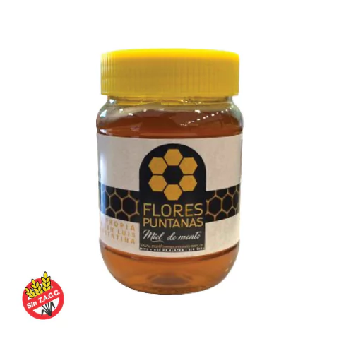 Miel Liquida Flores Puntanas 450g