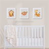 Kit de Quadros Decorativos Animais