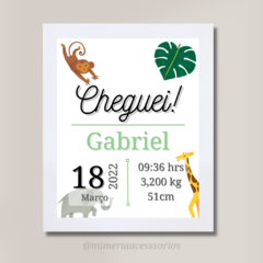 Quadro Registro de Nascimento Cheguei Gabriel - comprar online