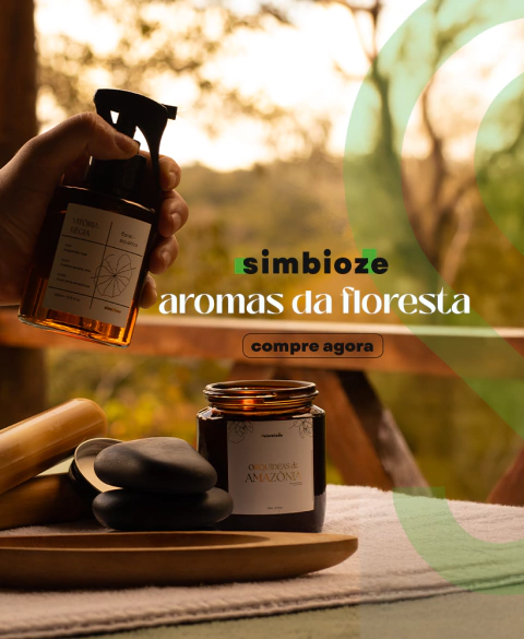 Carrossel 1