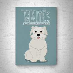 Quadro em mdf de Maltês