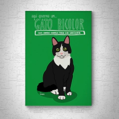 Quadro em mdf de Gato bicolor