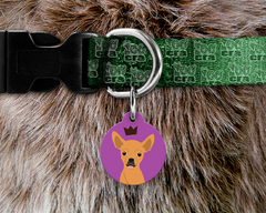 Plaquinha (Tag) de Identificação Chihuahua