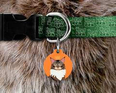 Plaquinha (Tag) de Identificação Gato Maine Coon - comprar online