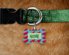 Plaquinha (Tag) de Identificação Melância