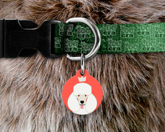 Plaquinha (Tag) de Identificação Poodle