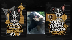 Quadro Botafogo Campeão 2024 - Johnny - Zooera - Plaquinha de identificação ou pingente para cachorro e gato!