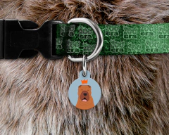 Plaquinha (Tag) de Identificação Sharpei - comprar online