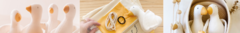 Banner da categoria GANSO