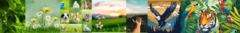 Banner da categoria natureza 