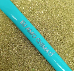 Bomba de Chimarrão Inox com Pintura Especial 23cm Bojo Fixo Verde Água " Eu Amo Chima " - comprar online