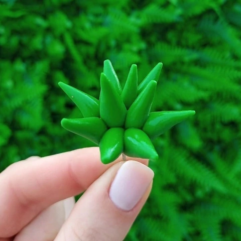 Enfeites de Cuia Suculenta Verde Pontuda Grande