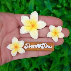 Kit Canela " Bom Dia "