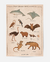 Print Reino Animalia - comprar online