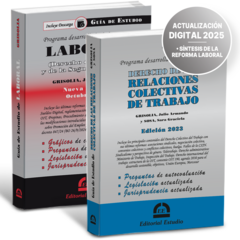 PROMO 168: Guía de Estudio de Laboral + Guía de Estudio Relaciones Colectivas de Trabajo - comprar online