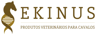 Ekinus - Lo mejor está aquí