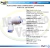 Kit x4 ACOPLE UNIÓN CODO 3/8 manguera x 1/4 manguera, Referencia: 228-DCC004B - comprar online