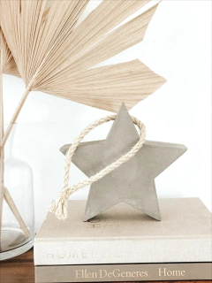 Doorstop STAR en internet