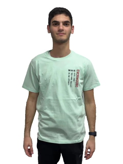 214VE - Remera Algodón 100% Estampada Vertical