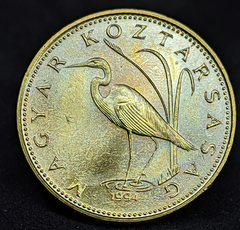 2419 - Hungria 5 florins, 1994 - Com lindo brilho de cunho