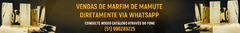 Banner da categoria Fósseis