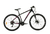 BICICLETA FIRE BIRD BIN29-24DHWOO MTB RODADO 29