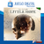 DARK PICTURES ANTHOLOGY LITTLE HOPE - PS4 DIGITAL