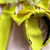 Diadema Chignon Nina Amarillo