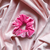 Velvet Gogo Rosa Barbie - comprar online
