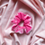 Velvet Gogo Rosa Barbie en internet