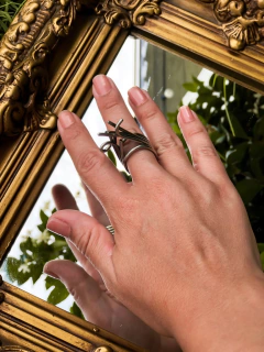 Anillo Istar en internet