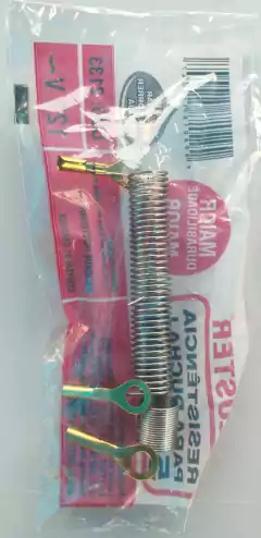 Resistência Chuveiro T. Lorenzetti (luster) 5.400W 110Volts na internet