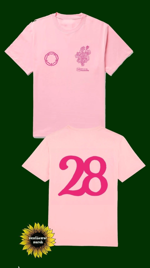 Remera Rosa Louis Tomlinson 28