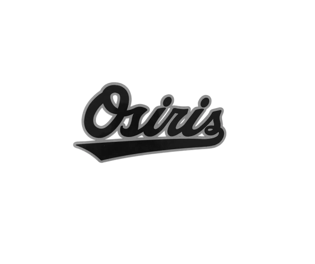 REMERA OSIRIS 99 SCRIPT BORDO — imagen 2