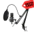 MICROFONO KIT CONDENSER PROFESIONAL BM-858TZ