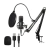 MICROFONO KIT CONDENSER PROFESIONAL BM-858TZ - comprar online