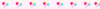 Banner de Biscuit de luxo