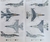 Italeri 1/48 2825 F-16C Fighting Falcon en internet