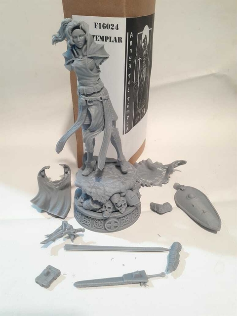 Napalm 1/16 F16024 Templaria