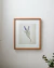 Quadro - Coleção Botânica - Ramo de Lavanda na internet