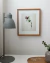 Quadro - Coleção Botânica - Cravo-Rosa - comprar online