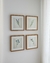 Imagem do Quadros - Coleção Botânica - Completa