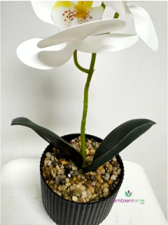 Maceta con orquidea 10x30 cm - comprar online