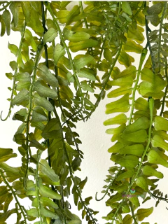 Caída de Helecho 85 cm - tienda online