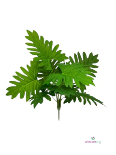 Planta de Philodendro de 45 cm en internet