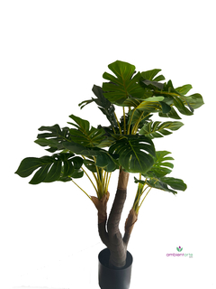Arbol de Monstera o Costilla de Adan de 120 cm