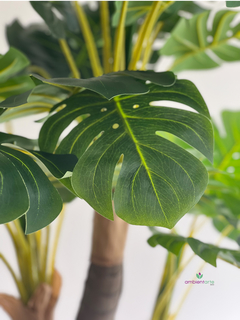 Arbol de Monstera o Costilla de Adan de 120 cm - comprar online