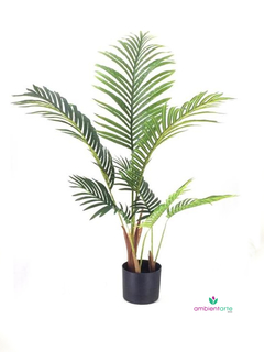 Planta Palmera 95 cm con Maceta