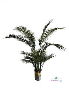 Palmera Areca 135cm