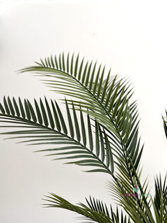 Palmera Areca 135cm en internet